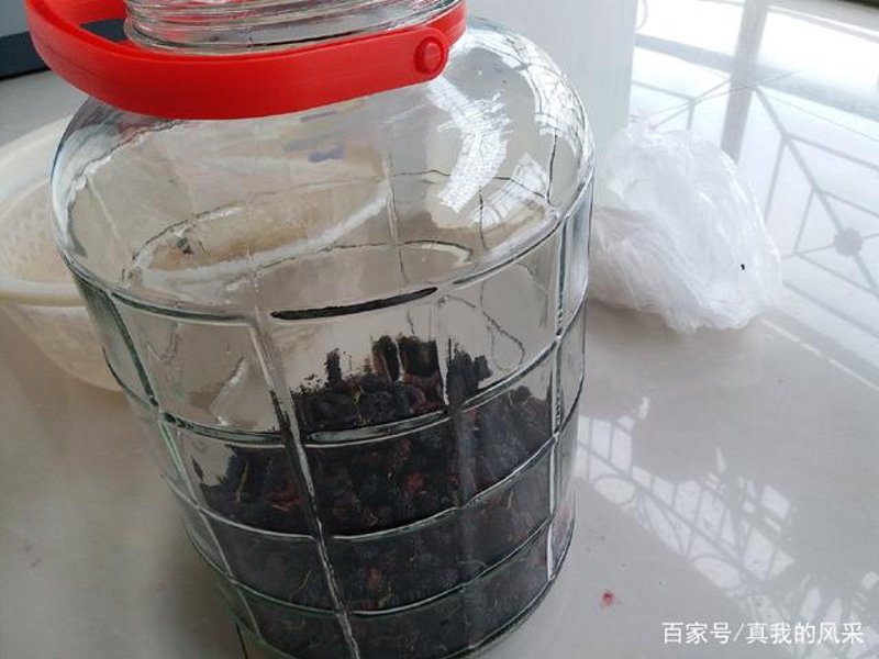 安徽桑果酒:品味自然之味